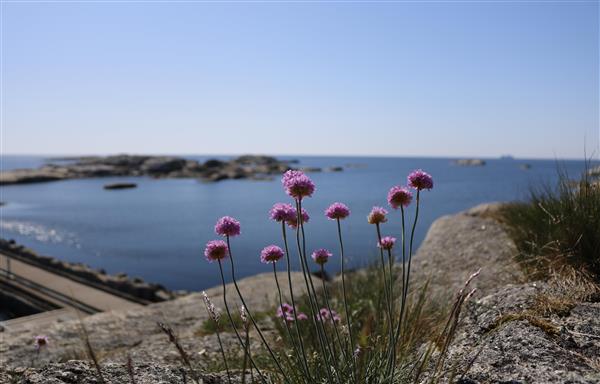 Verdens Ende. Foto. - Klikk for stort bilde